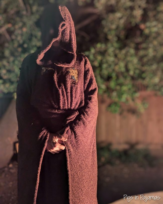 Mysterious Druid
