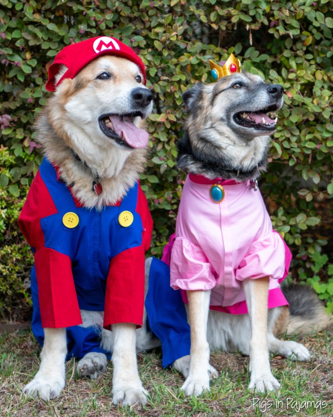 Super Mario and Princess Peach Pups
